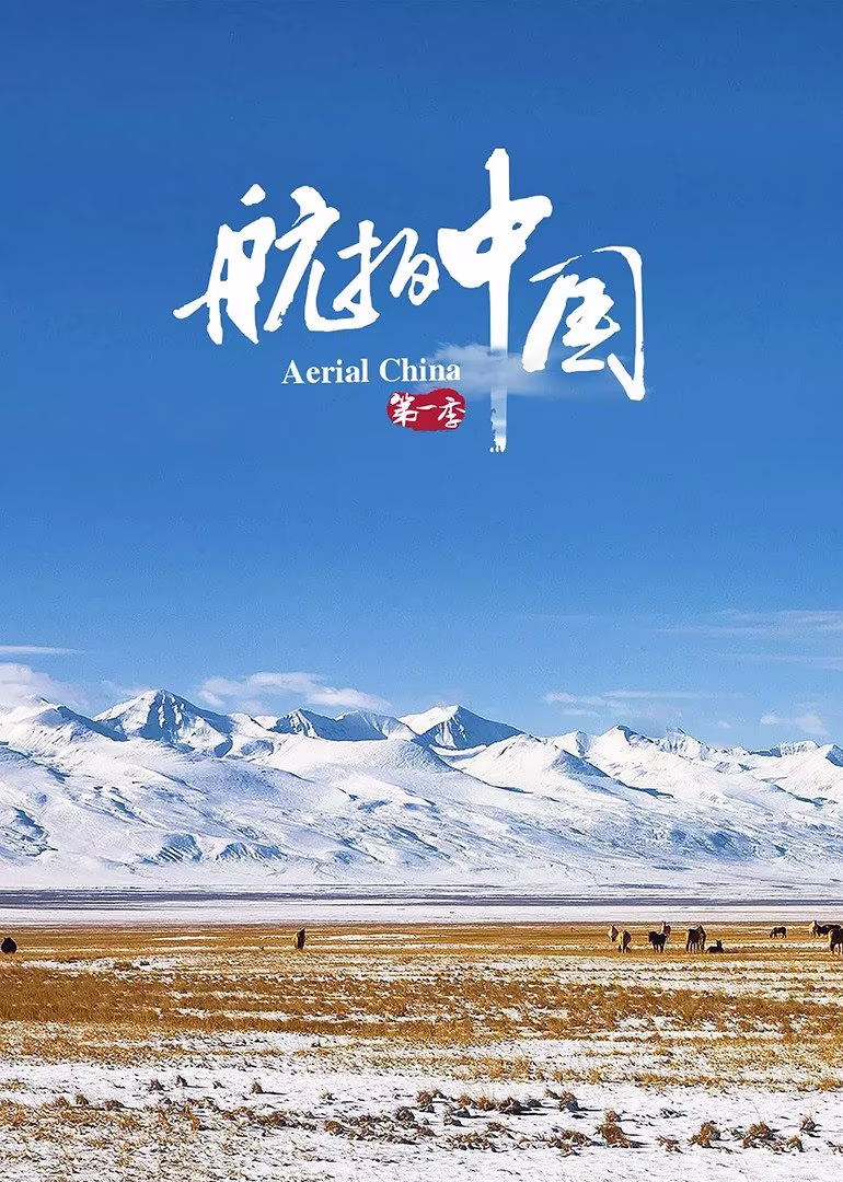 图片区小说区号在线剧照1
